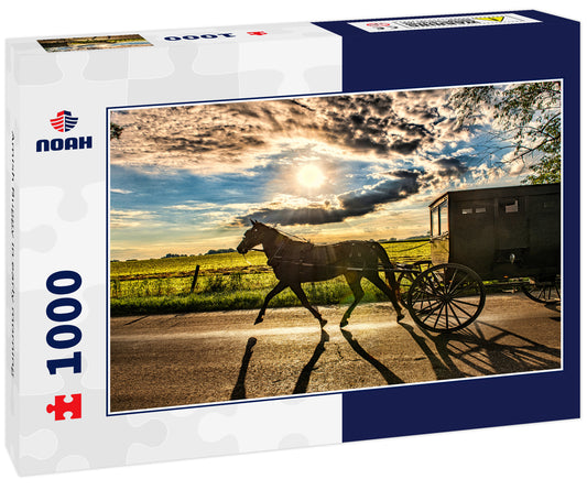 Amish Buggy in early morning