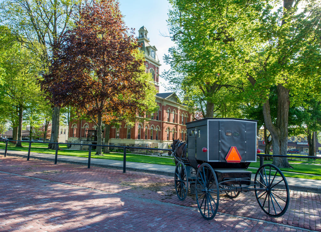 Amish Buggy at the LaGrange County, Indiana, Courthouse