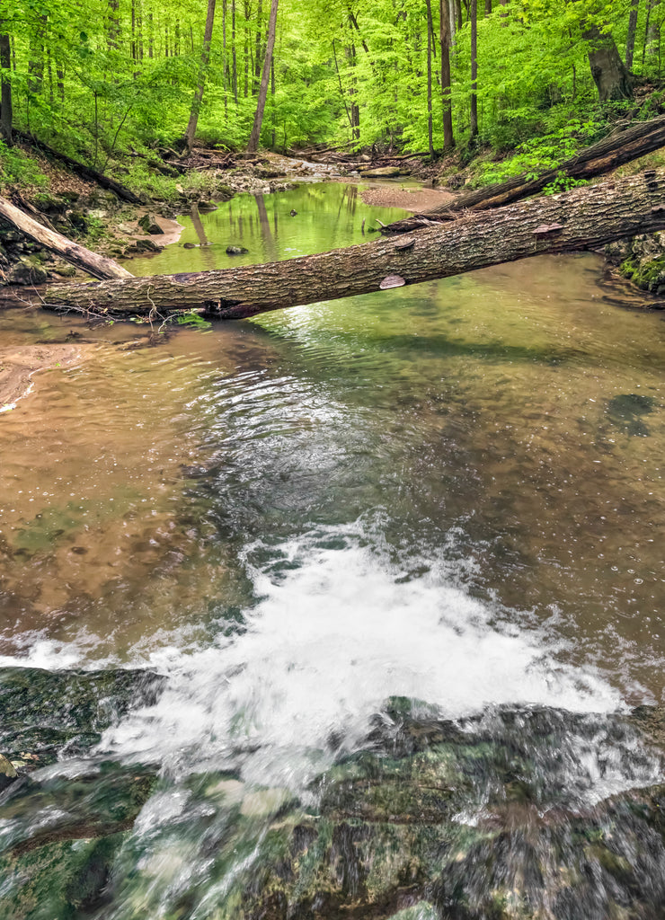 Downstream - Atop a Waterfall on Fall Creek in Putnam County, Indiana