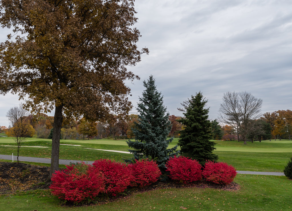 Beautiful colors of the fall, West Lafayette, Indiana