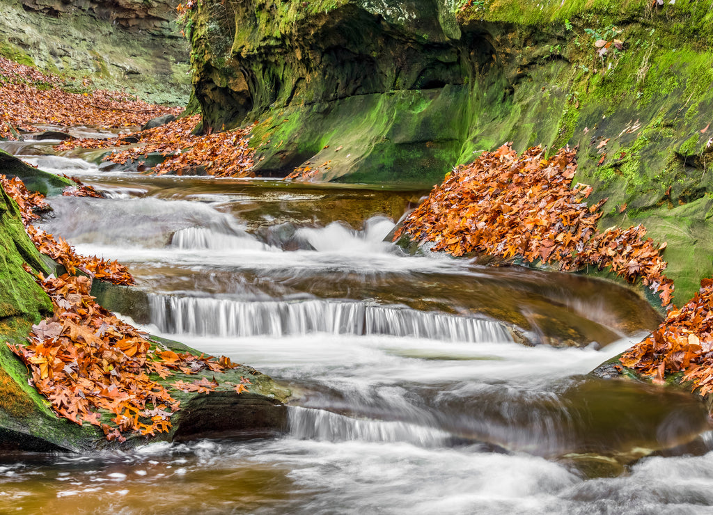 Autumn at Fall Creek Gorge Nature Preserve, Indiana