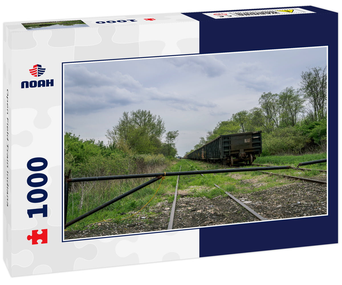 Open Field Train Indiana