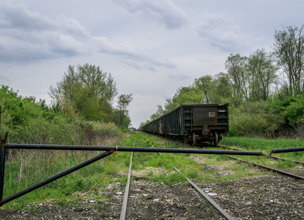 Open Field Train Indiana