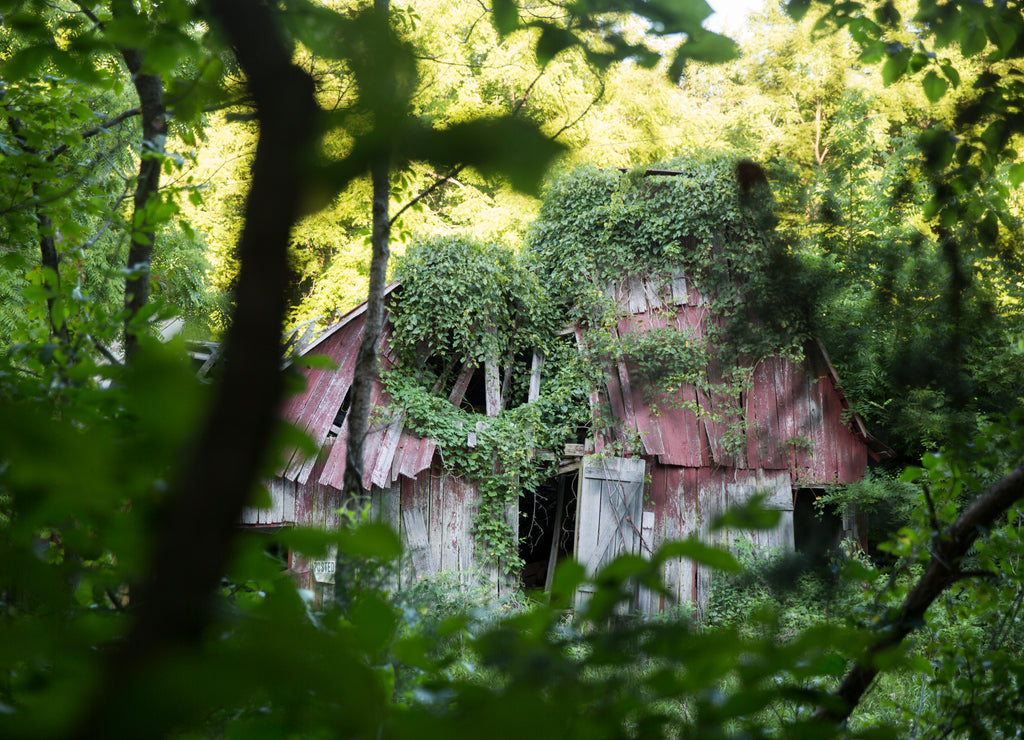 Abandoned barn in rural Indiana farming area