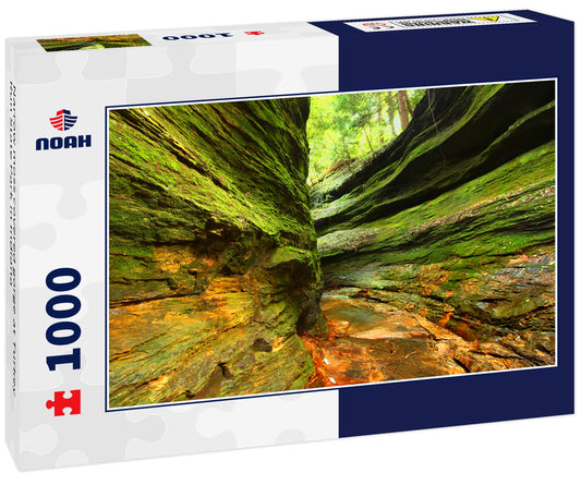 Narrow moss covered gorge at Turkey Run State Park in Indiana