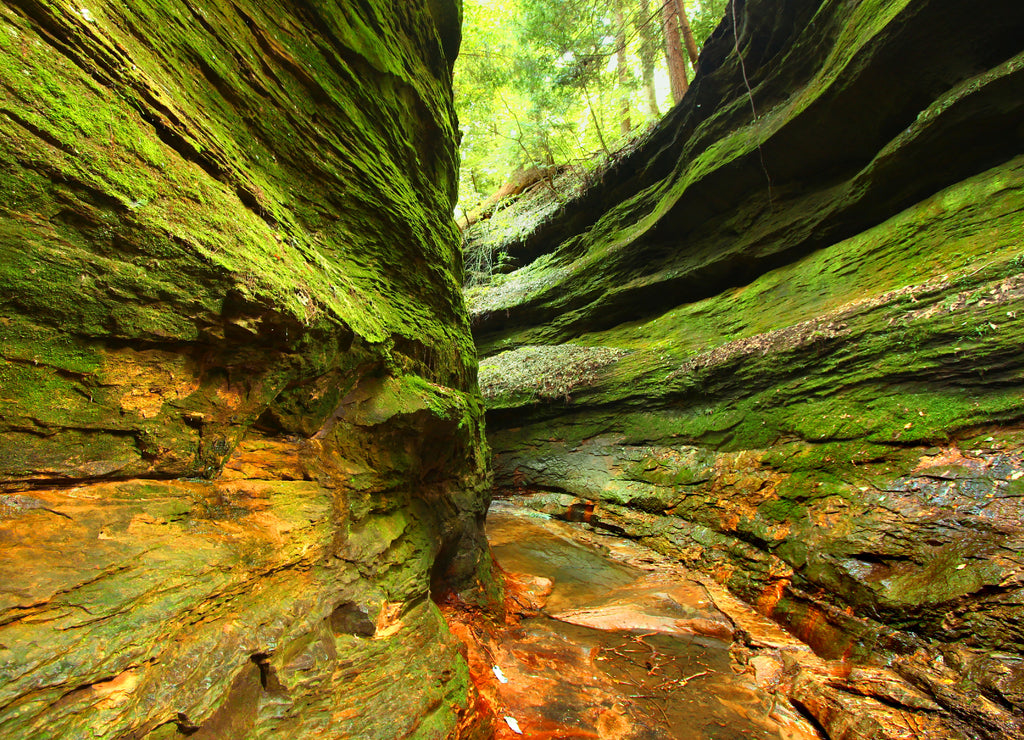 Narrow moss covered gorge at Turkey Run State Park in Indiana