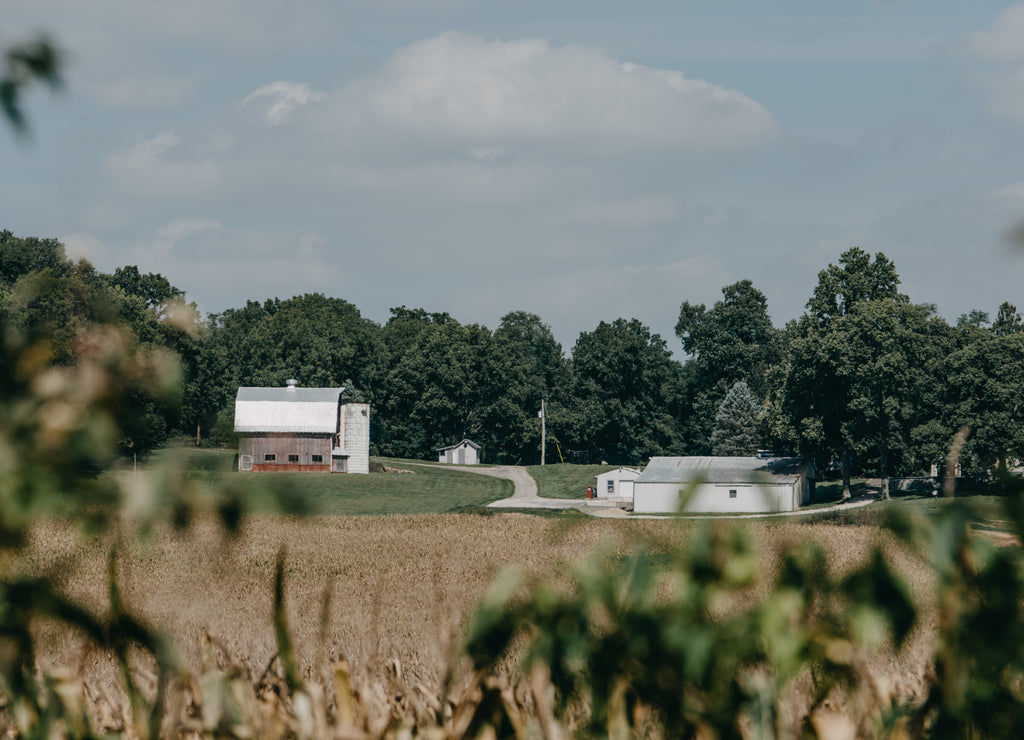 Indiana Barn