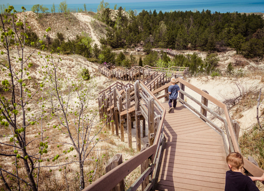 Boardwalk steps down a dune at Indiana Dunes National Park