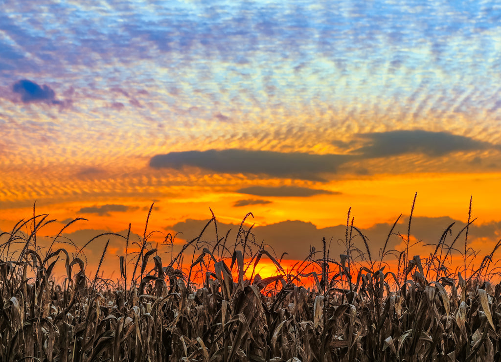 Indiana Sundown