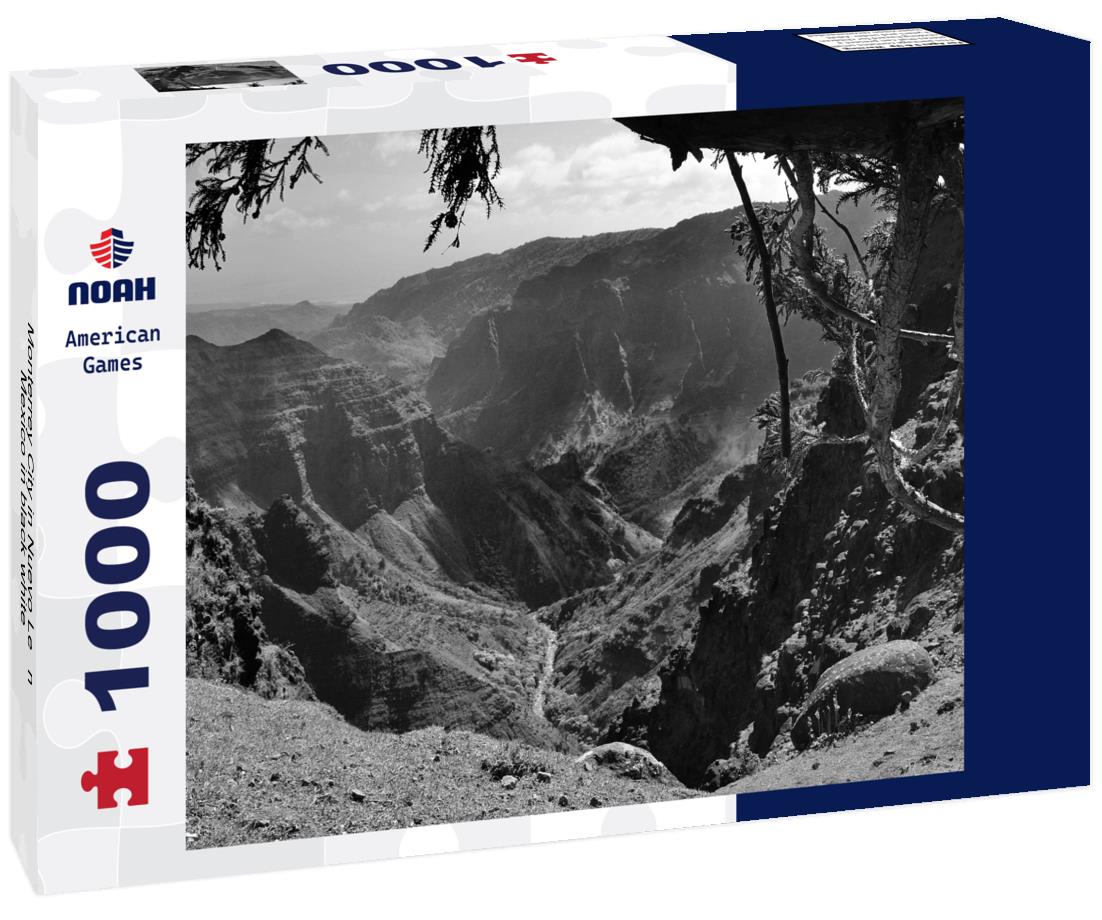 Noah Jigsaw Puzzle Monterrey City in Nuevo León, Mexico in black white 1000 pieces