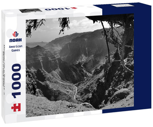 Noah Jigsaw Puzzle Monterrey City in Nuevo León, Mexico in black white 1000 pieces