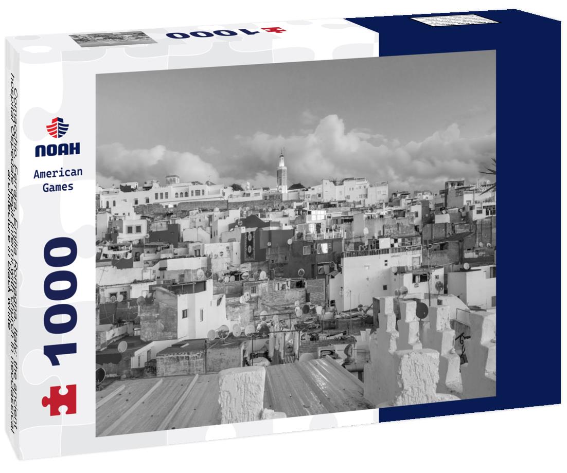 Noah Jigsaw Puzzle Comacchio, Ferrara, Emilia Romagna, Italy: the ancient hospital Ospedale degli Infermi with church in neoclassical architecture in black white 1000 pieces