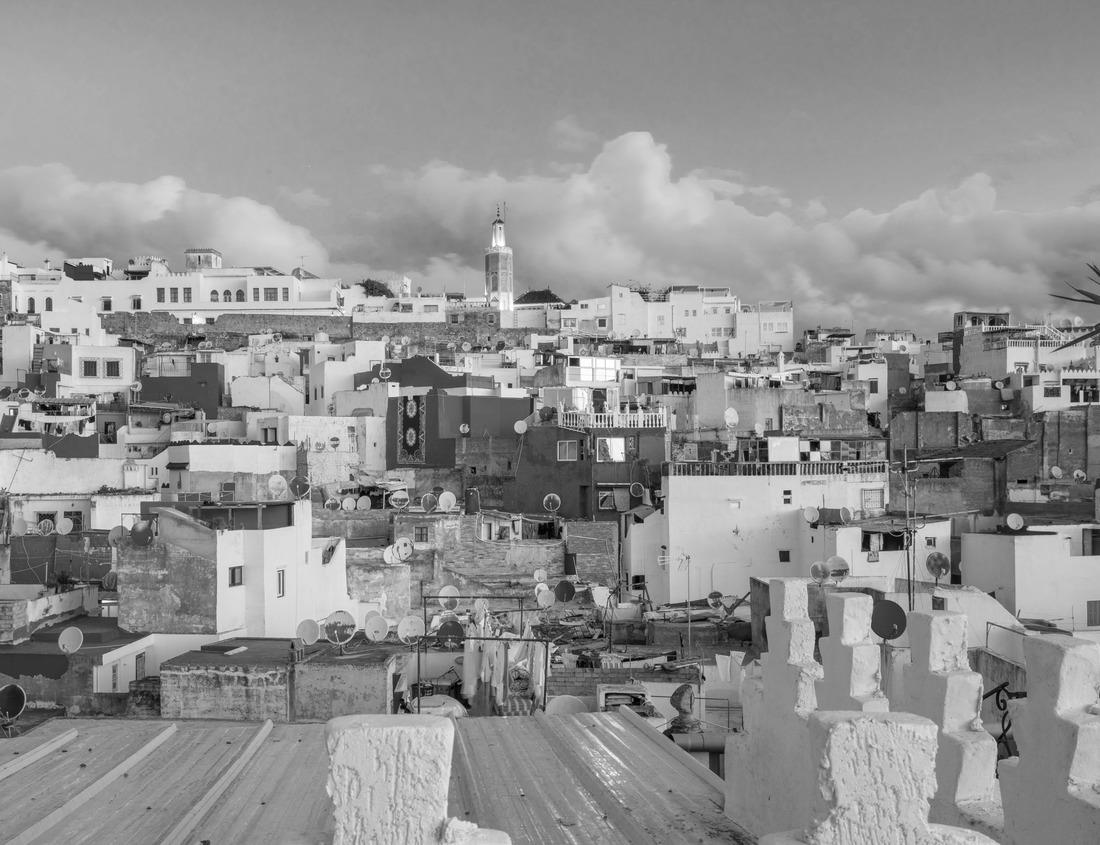 Noah Jigsaw Puzzle Comacchio, Ferrara, Emilia Romagna, Italy: the ancient hospital Ospedale degli Infermi with church in neoclassical architecture in black white 1000 pieces