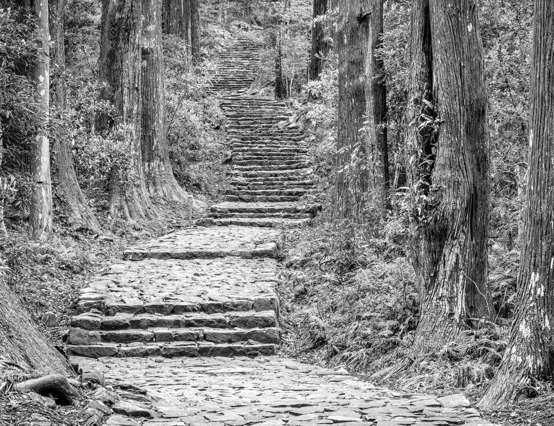 Noah Jigsaw Puzzle Harbor of Cannobio, Lake Maggiore, Italy in black white 1000 pieces