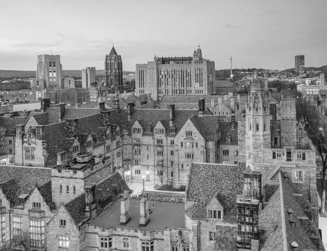 Noah Jigsaw Puzzle Los Angeles skyline on a sunny day in black white 1000 pieces