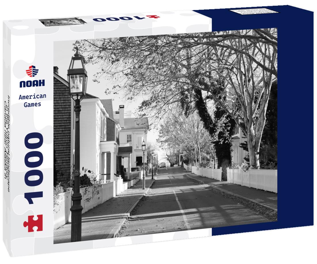 Noah Jigsaw Puzzle Incredible natural landscape in the Yukon Territory, Canada near Alaska in black white 1000 pieces