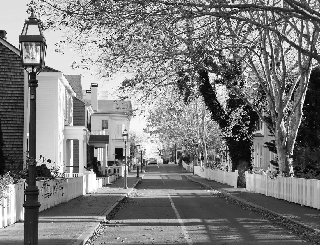 Noah Jigsaw Puzzle Incredible natural landscape in the Yukon Territory, Canada near Alaska in black white 1000 pieces