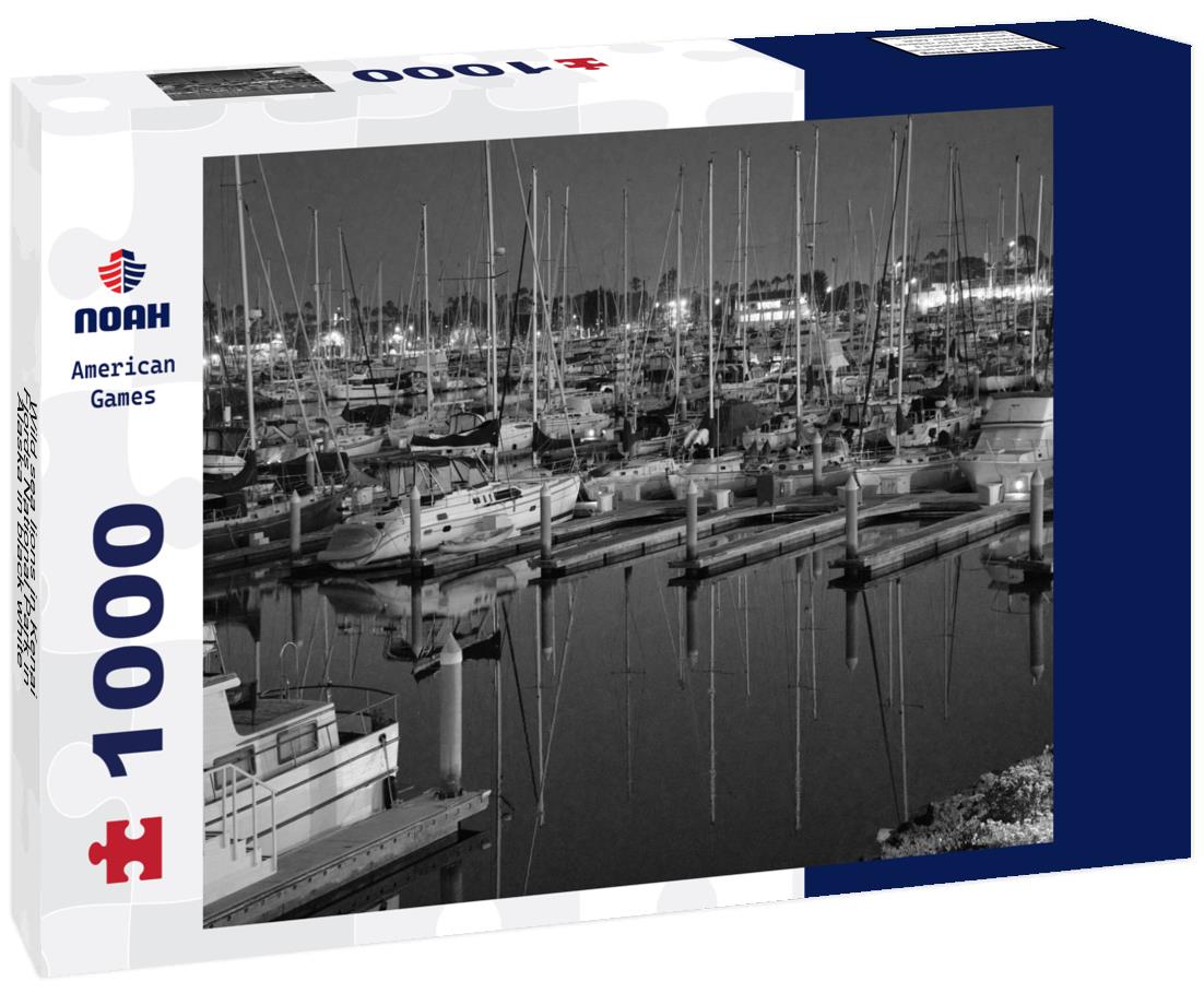 Noah Jigsaw Puzzle Wild sea lions in Kenai Fjords National Park in Alaska in black white 1000 pieces