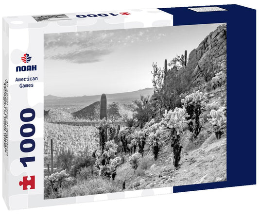 Noah Jigsaw Puzzle An aerial view of downtown buildings in Grand Rapids, Michigan in black white 1000 pieces