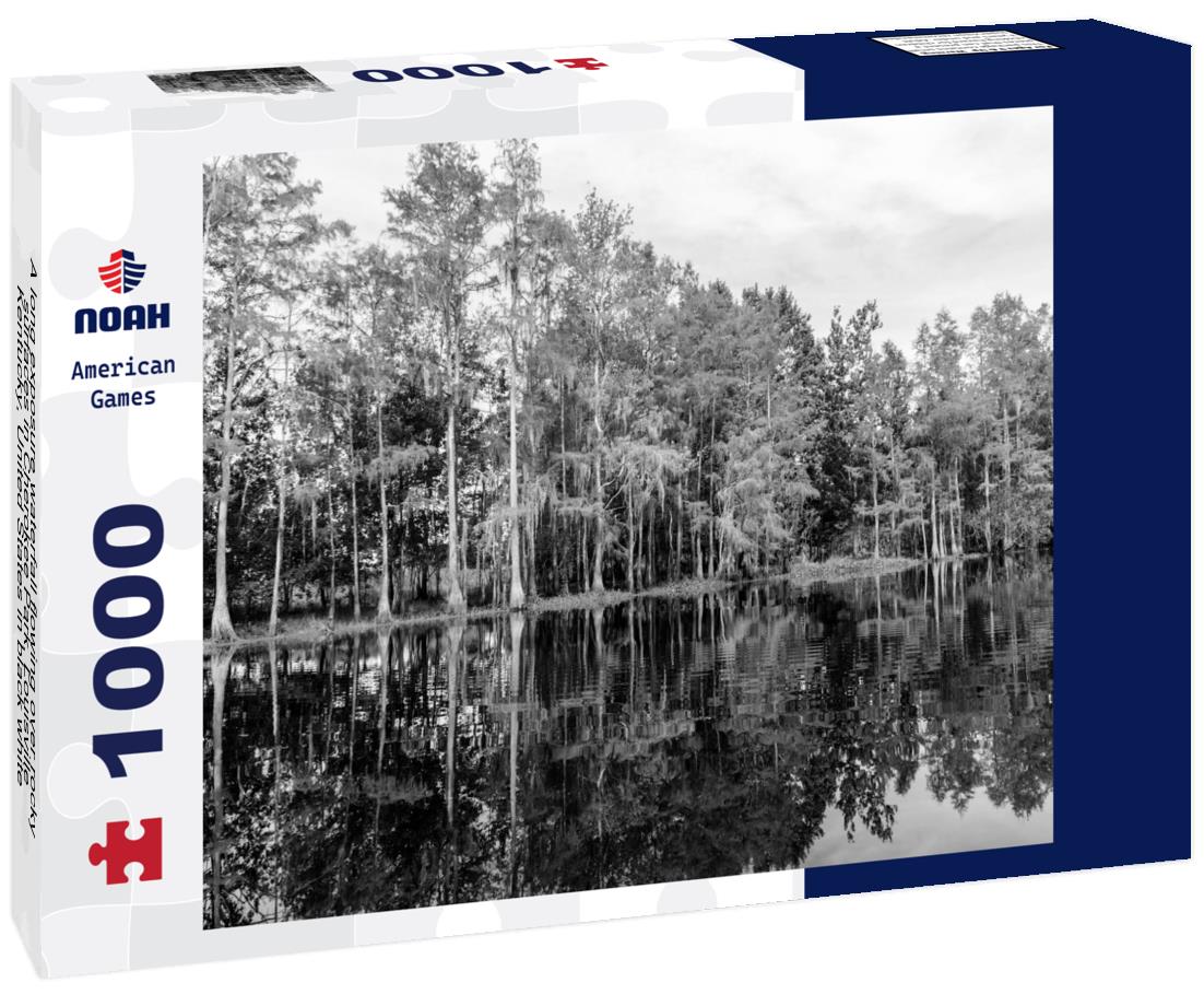 Noah Jigsaw Puzzle A long exposure waterfall flowing over rocky surfaces in Cherokee Park, Louisville, Kentucky, United States in black white 1000 pieces