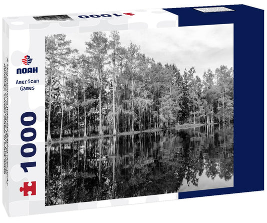 Noah Jigsaw Puzzle A long exposure waterfall flowing over rocky surfaces in Cherokee Park, Louisville, Kentucky, United States in black white 1000 pieces