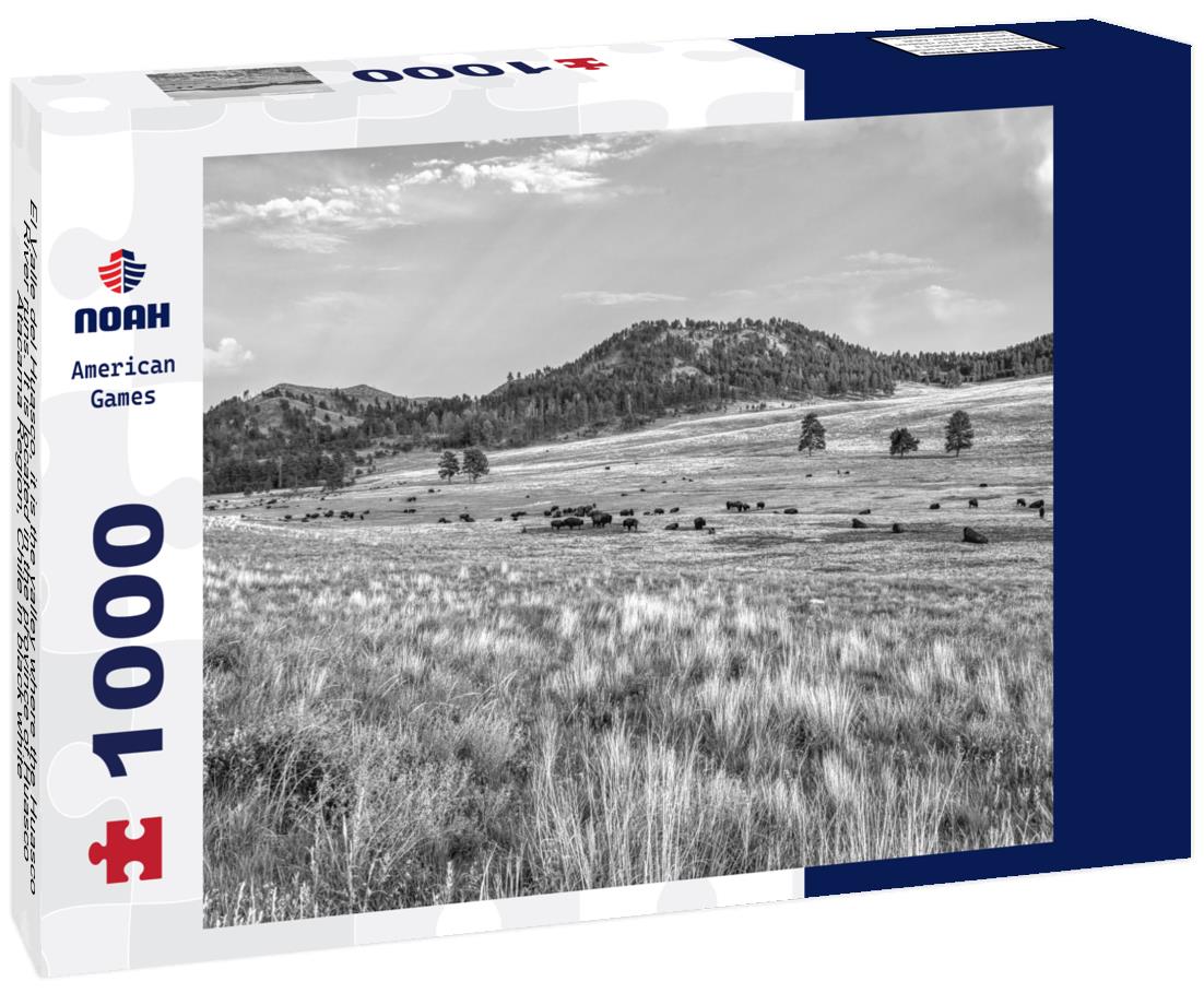Noah Jigsaw Puzzle El Valle del Huasco, it is the valley where the Huasco River runs. It is located in the province of Huasco, Atacama Region, Chile in black white 1000 pieces