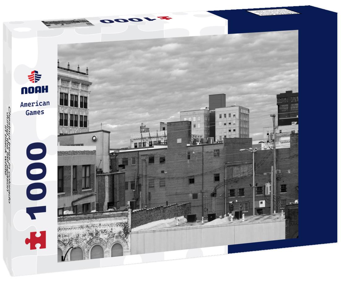 Noah Jigsaw Puzzle Chestnut trees in colorado during the fall season in black white 1000 pieces