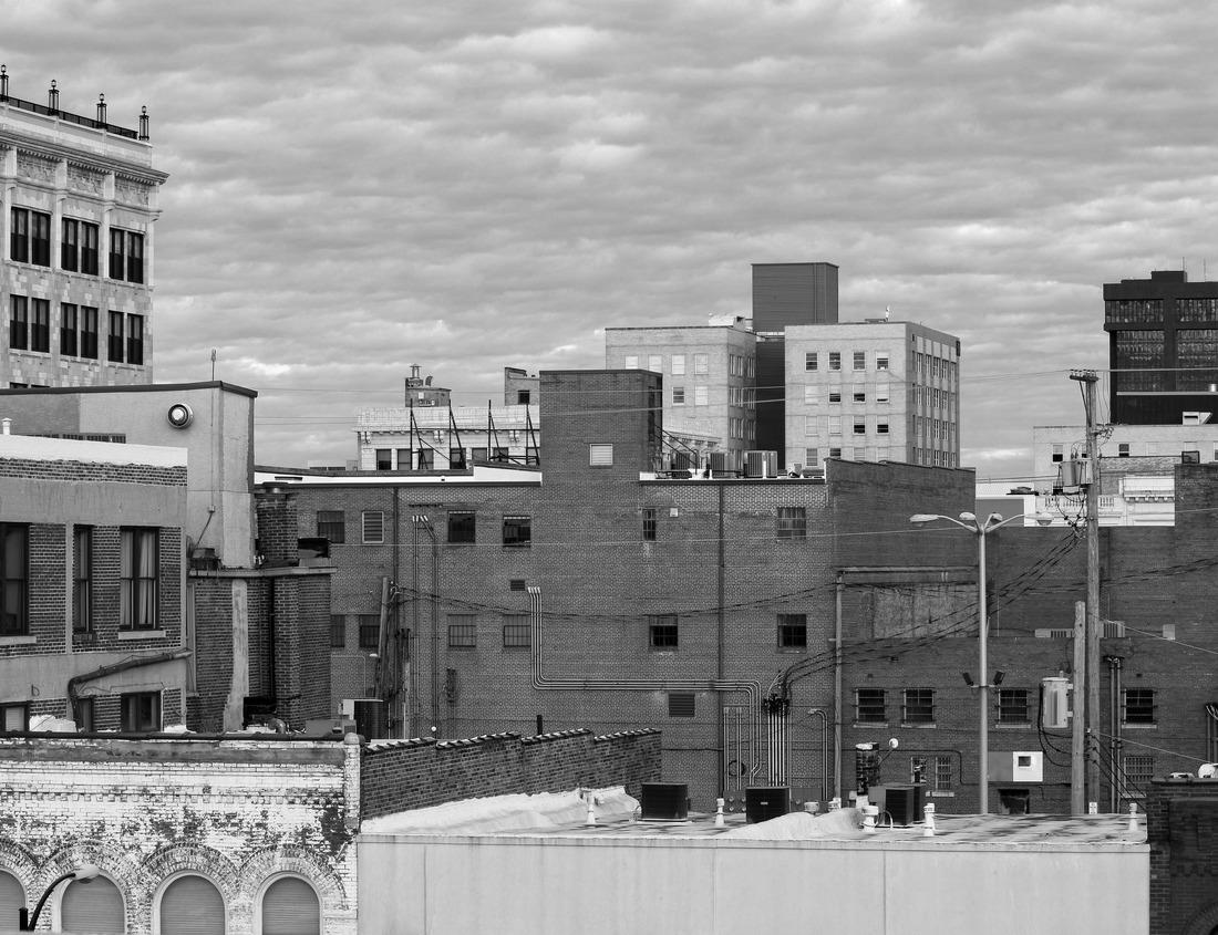 Noah Jigsaw Puzzle Chestnut trees in colorado during the fall season in black white 1000 pieces