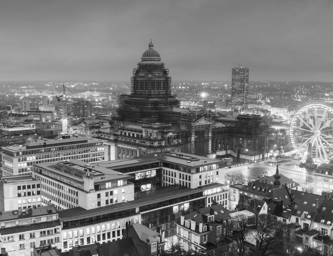 Noah Jigsaw Puzzle Africa, Tanzania. Red-billed woodpecker warming over sleeping hippos in black white 1000 pieces