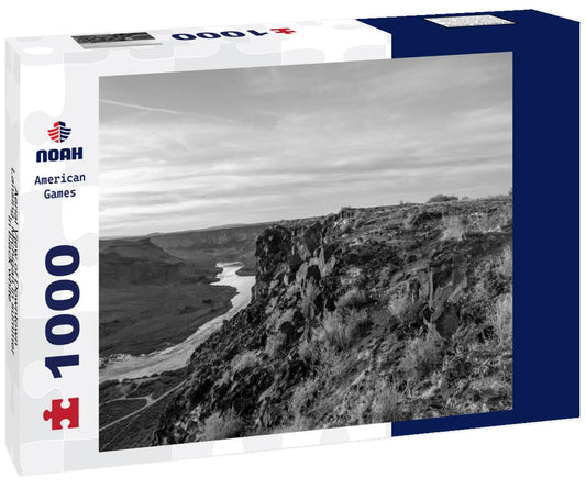 Noah Jigsaw Puzzle Aerial View of Downtown Lansing, Michigan in summer in black white 1000 pieces