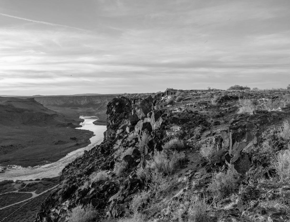 Noah Jigsaw Puzzle Aerial View of Downtown Lansing, Michigan in summer in black white 1000 pieces