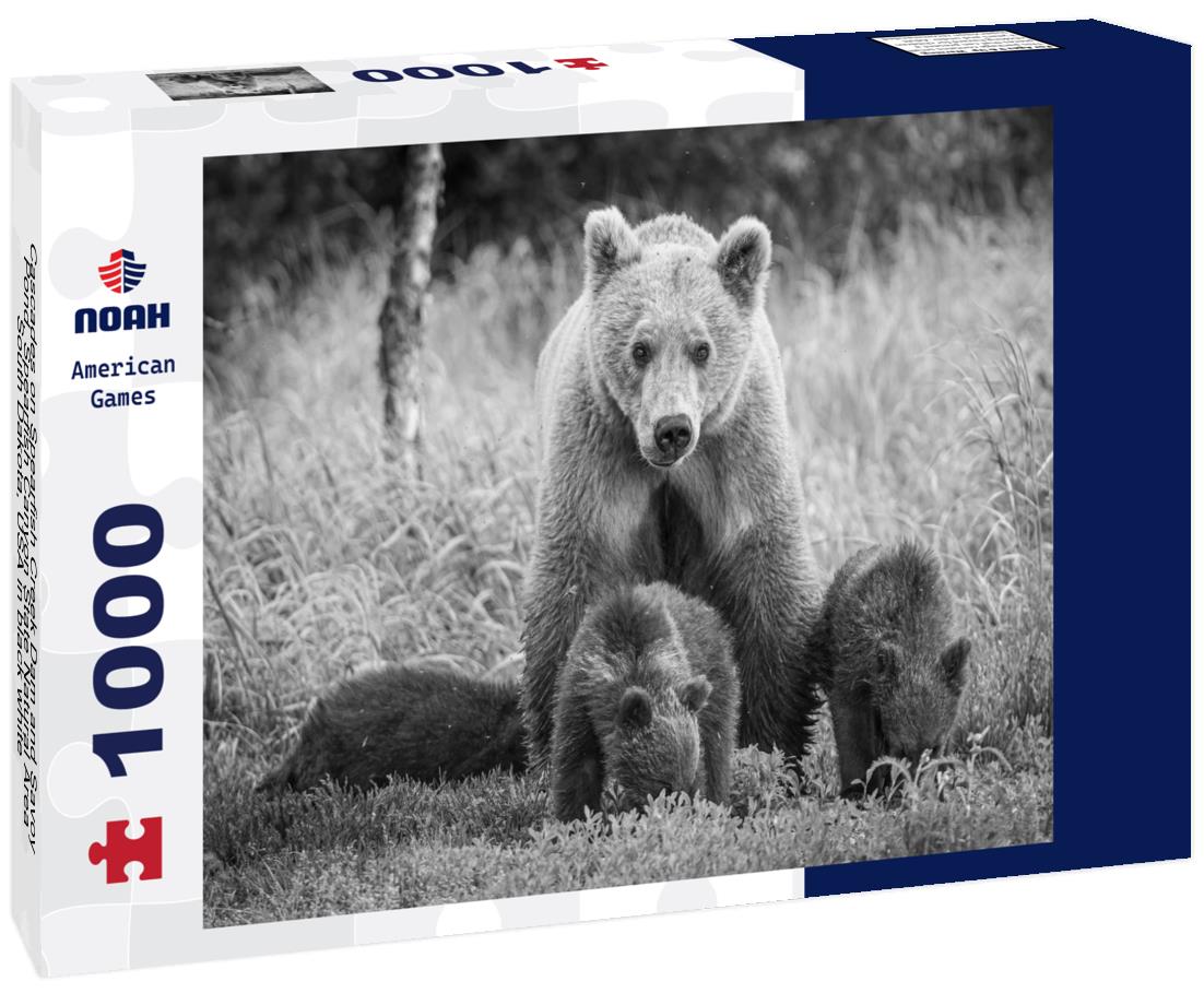 Noah Jigsaw Puzzle Cascades on Spearfish Creek Dam and Savoy Pond, Spearfish Canyon State Natural Area, South Dakota, USA in black white 1000 pieces