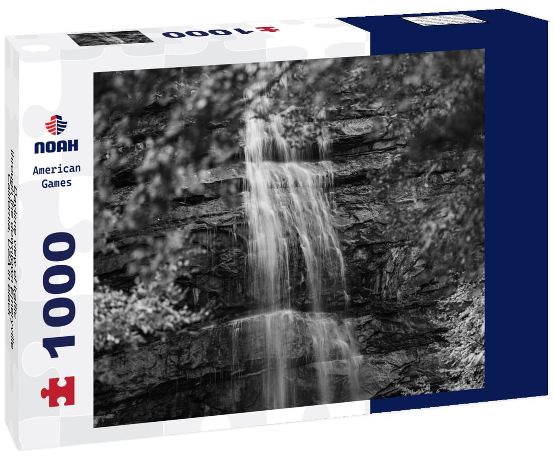 Noah Jigsaw Puzzle Daytime view of traffic through the downtown Emeryville, California, USA in black white 1000 pieces