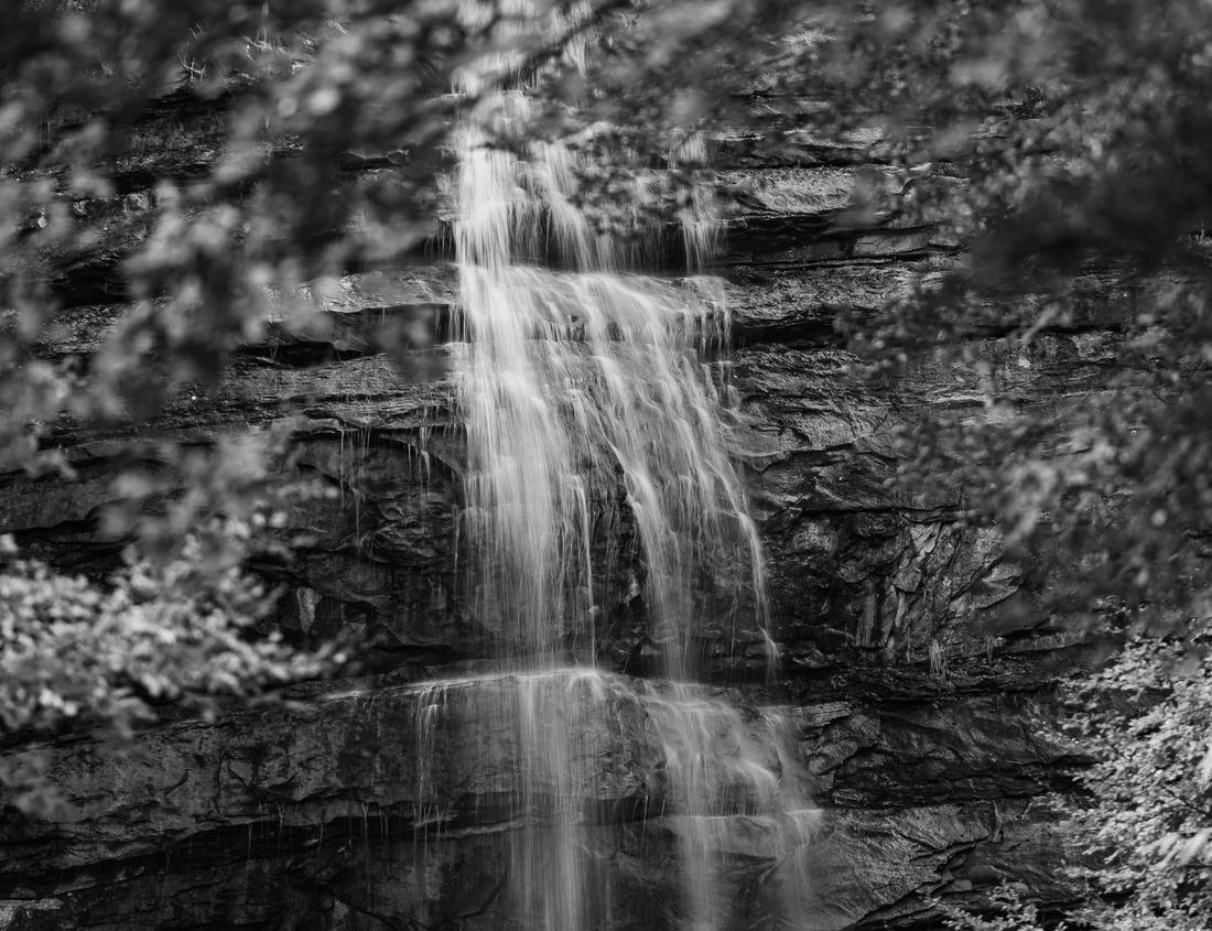 Noah Jigsaw Puzzle Daytime view of traffic through the downtown Emeryville, California, USA in black white 1000 pieces