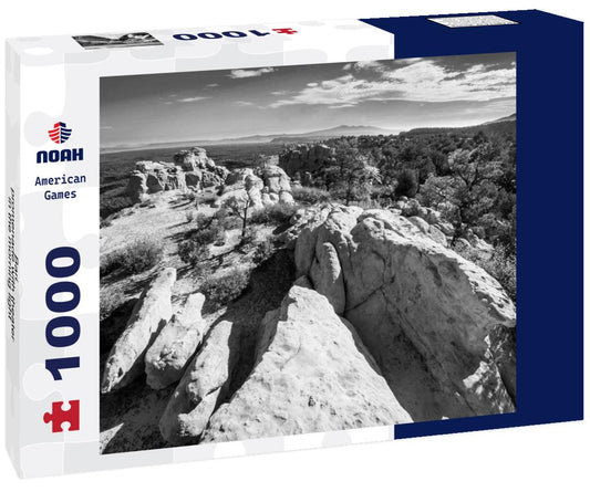 Noah Jigsaw Puzzle Bari - promenade with theater in the morning light in black white 1000 pieces