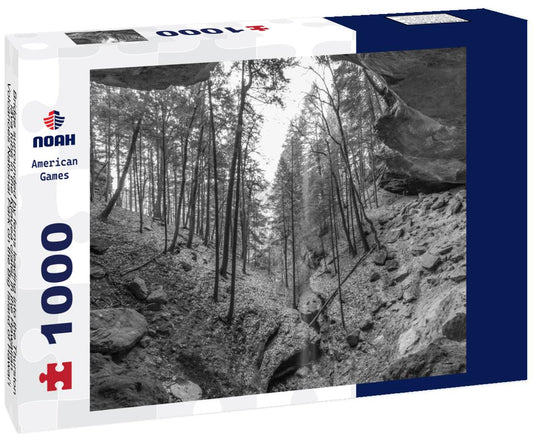 Noah Jigsaw Puzzle Bridge surrounded by ferns leading into the Thurston lava tube in the Kilauea crater in the Hawaiian Volcanoes National Park on the Big Island of Hawai'i in the Pacific Ocean in black white 1000 pieces