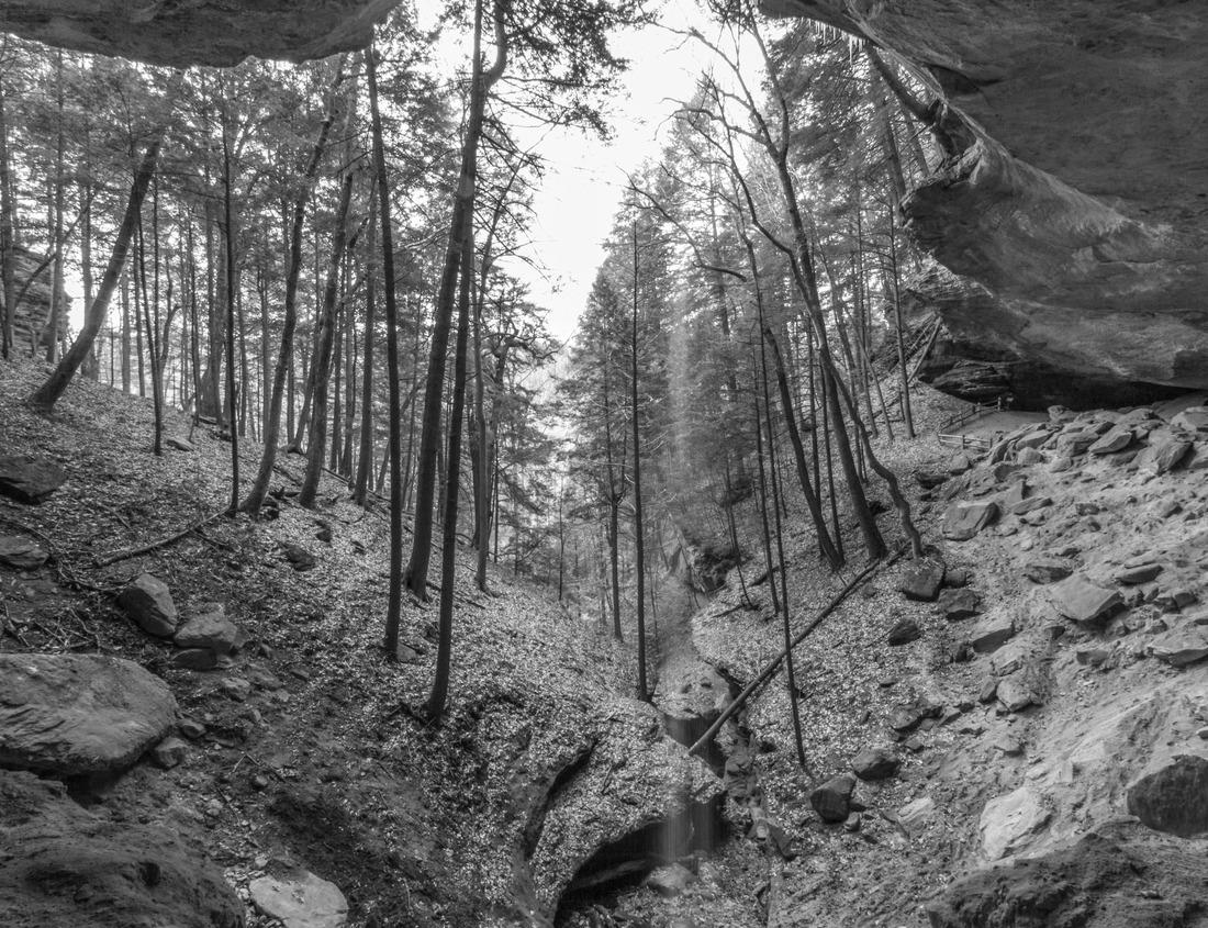 Noah Jigsaw Puzzle Bridge surrounded by ferns leading into the Thurston lava tube in the Kilauea crater in the Hawaiian Volcanoes National Park on the Big Island of Hawai'i in the Pacific Ocean in black white 1000 pieces