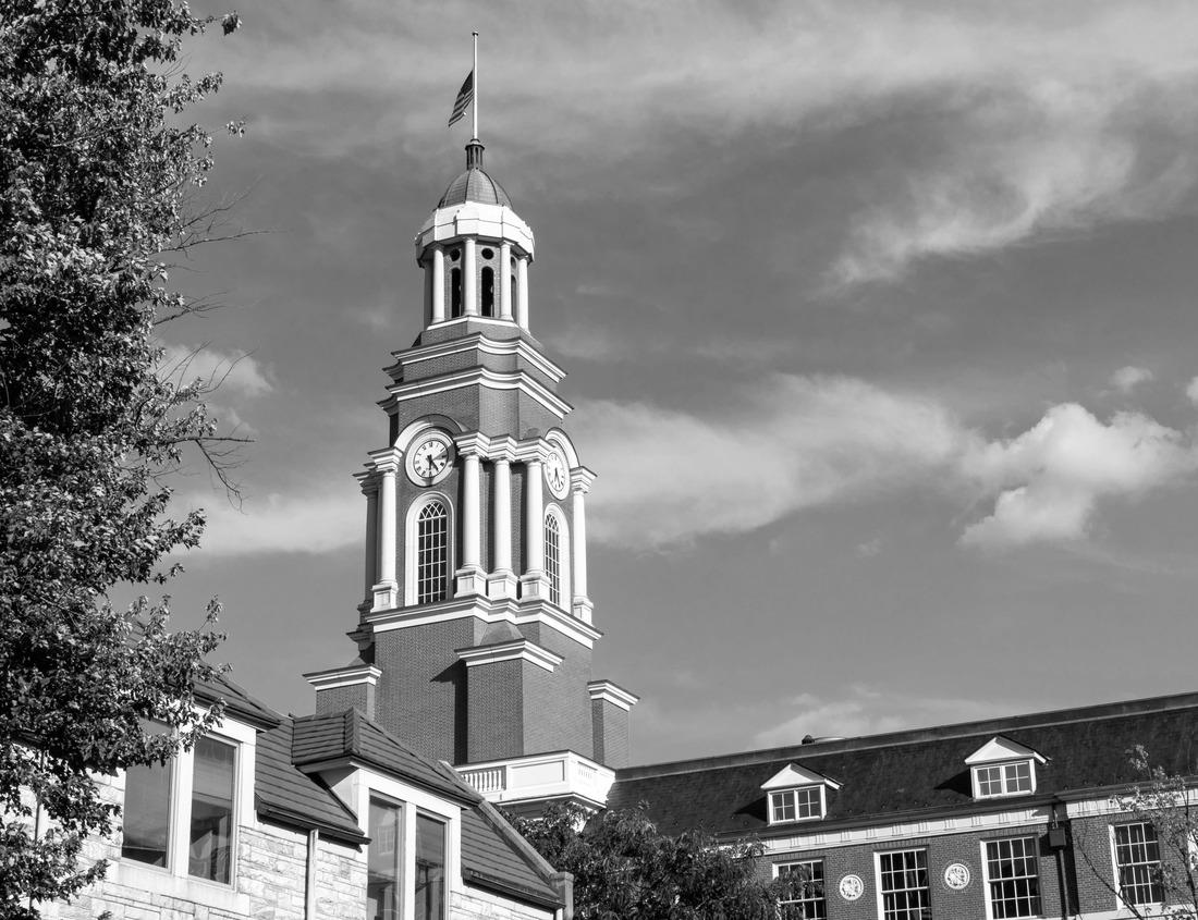 Noah Jigsaw Puzzle Harbour of Saint Jean Cap Ferrat, Côte d'Azur, France in black white 1000 pieces