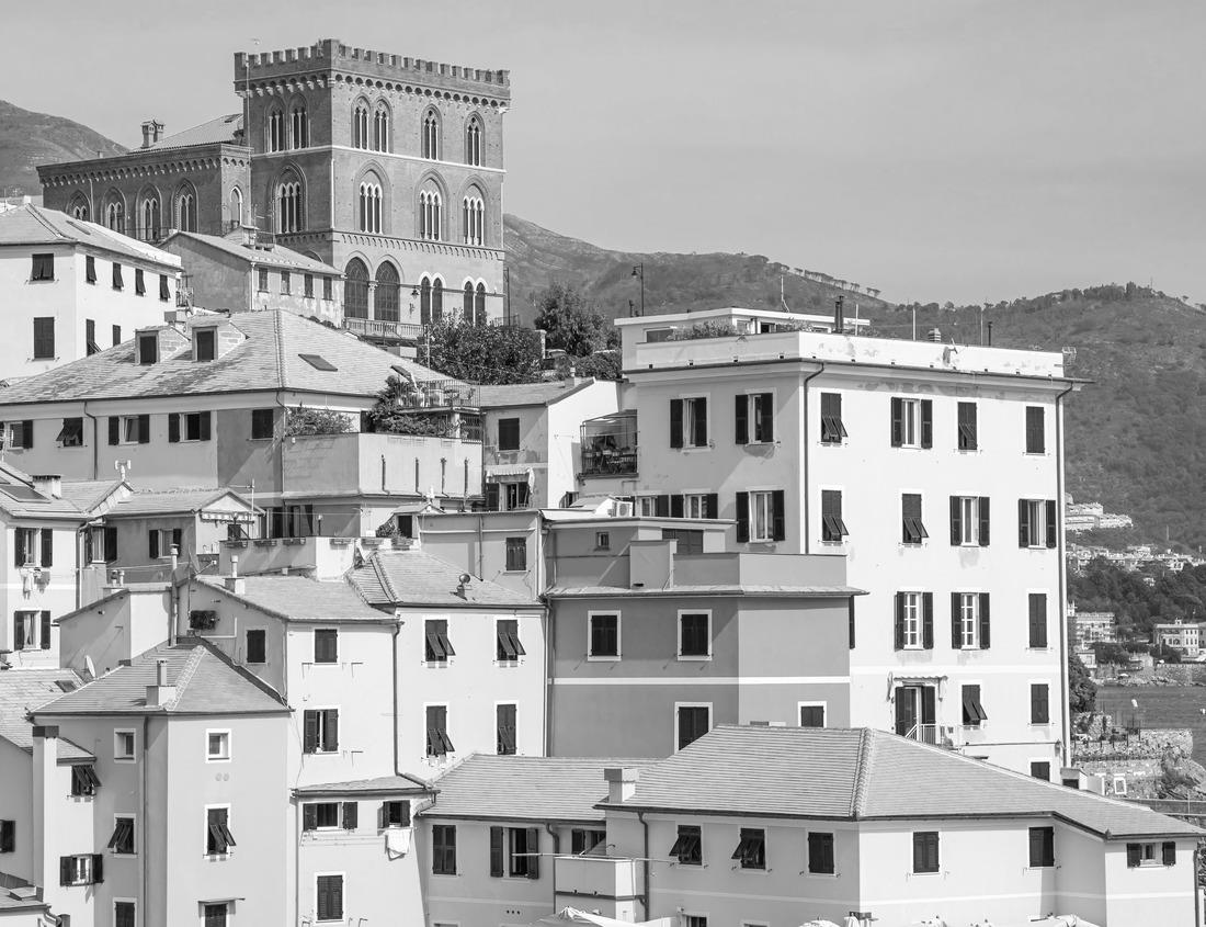 Noah Jigsaw Puzzle Lush green trees by the Cuyahoga riverside at Cuyahoga valley national park, Ohio in black white 1000 pieces