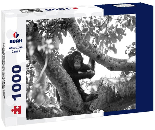 Noah Jigsaw Puzzle Lake Kawaguchi and Mt Fuji with looking beautiful red maple tree leaf falling in black white 1000 pieces