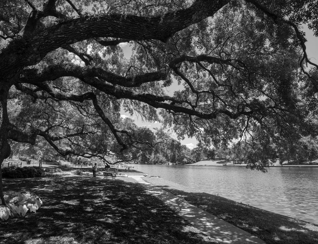 Noah Jigsaw Puzzle El Paso, Texas, USA downtown city skyline at dusk with Juarez, Mexico in the distance in black white 1000 pieces