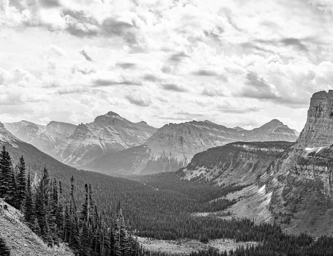 Noah Jigsaw Puzzle Columbia, Missouri, USA downtown city skyline at twilight in black white 1000 pieces