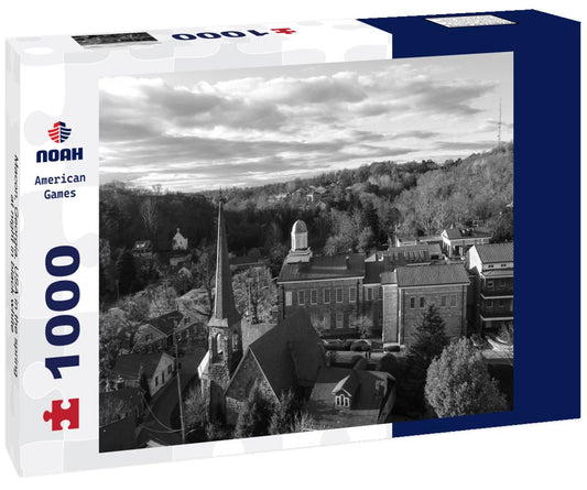 Noah Jigsaw Puzzle Macon, Georgia, USA in the spring at night in black white 1000 pieces