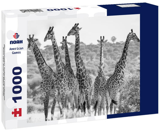 Noah Jigsaw Puzzle Bloomington Indiana courthouse from eye level in black white 1000 pieces