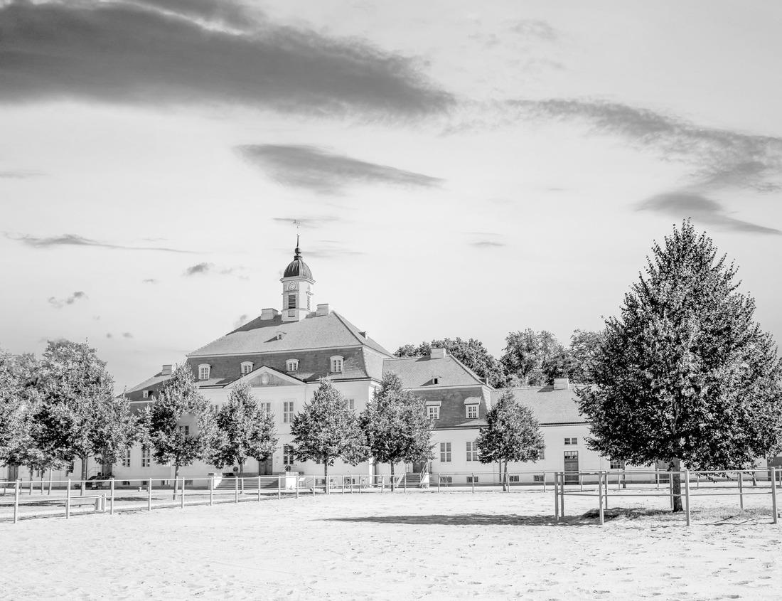 Noah Jigsaw Puzzle A lake, the surrounding green trees at sunrise in Beckley Creek Park in Louisville, Kentucky in black white 1000 pieces