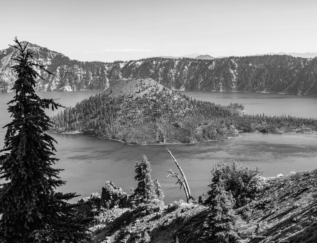 Noah Jigsaw Puzzle A small waterfall with a long exposure in Cherokee Park, Louisville, Kentucky in black white 1000 pieces