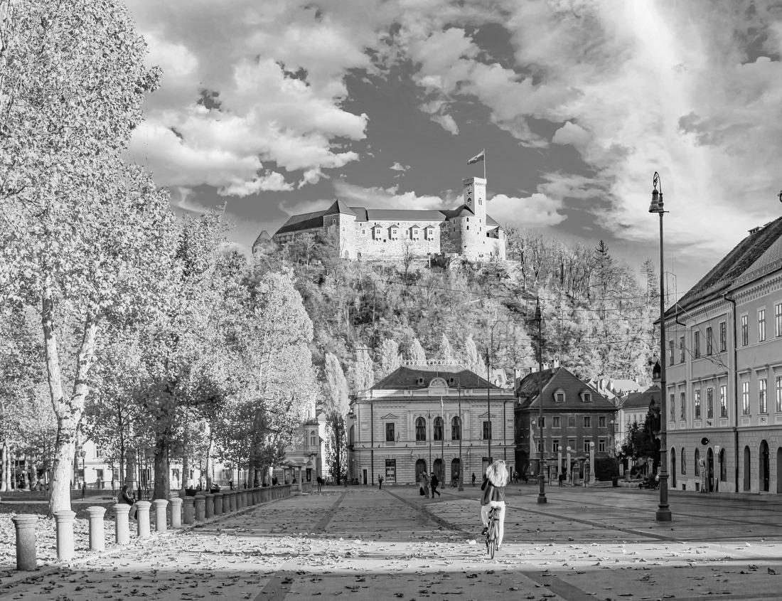Noah Jigsaw Puzzle Aerial view of office buildings, city hall and apartments in the city skyline surrounded by lush green trees and plants, cars on the road, mountains and thick clouds at sunset in Pasadena in black white 1000 pieces