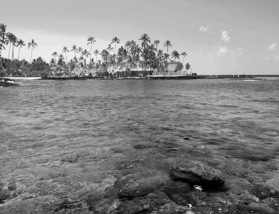 Noah Jigsaw Puzzle Old town and harbor of Mandello del Lario in Italy - Lake Como in black white 1000 pieces