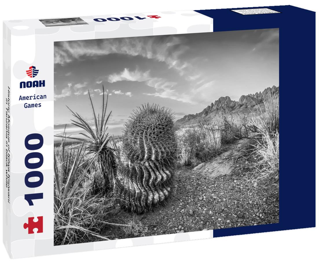 Noah Jigsaw Puzzle Historic Mosque of Kilwa Kisiwani in Tanzania in black white 1000 pieces