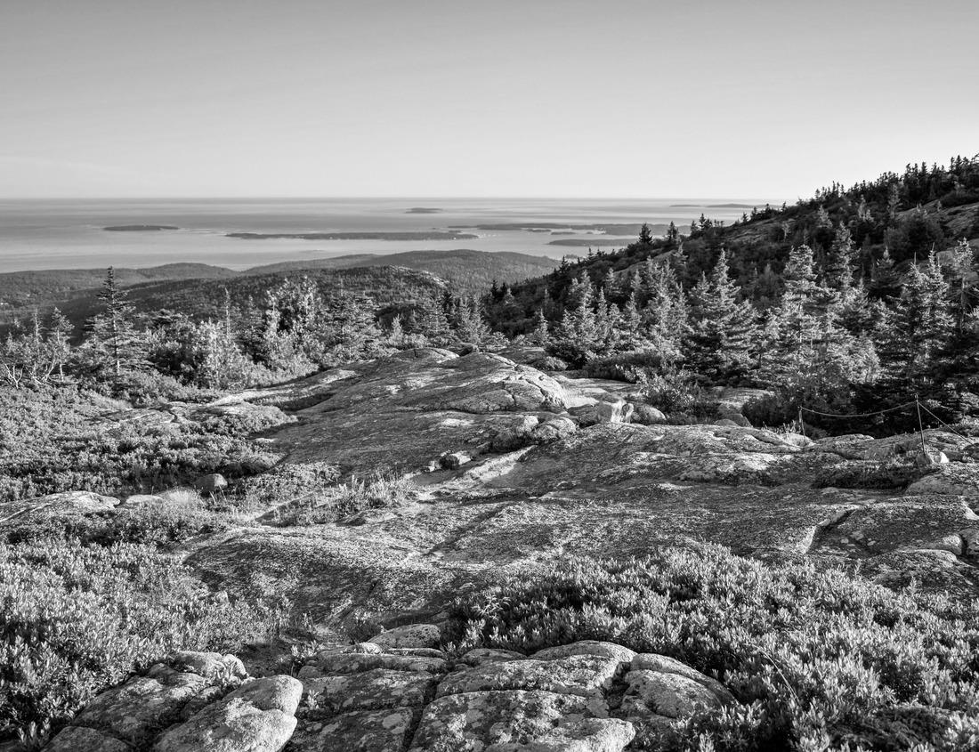 Noah Jigsaw Puzzle El Paso, Texas, USA downtown city skyline at twilight in black white 1000 pieces